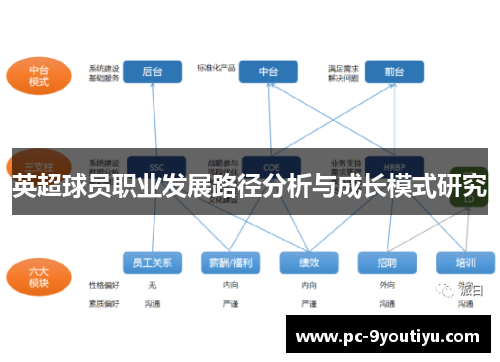 英超球员职业发展路径分析与成长模式研究