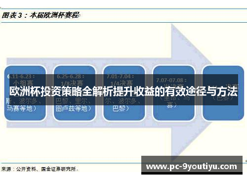 欧洲杯投资策略全解析提升收益的有效途径与方法