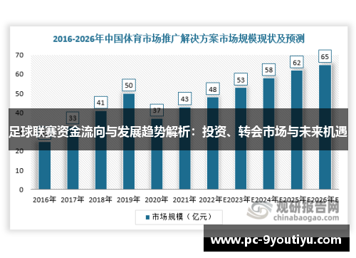 足球联赛资金流向与发展趋势解析：投资、转会市场与未来机遇