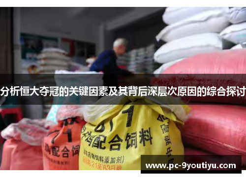 分析恒大夺冠的关键因素及其背后深层次原因的综合探讨